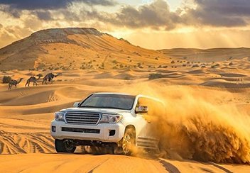 Desert Safari