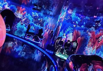 Attraction Tours