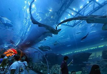 Attraction Tours