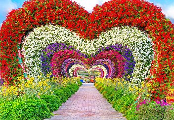 Attraction Tours
