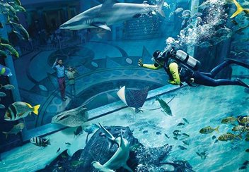 Attraction Tours