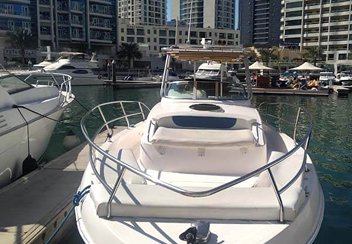 33 FT Yacht - Up To 6 People