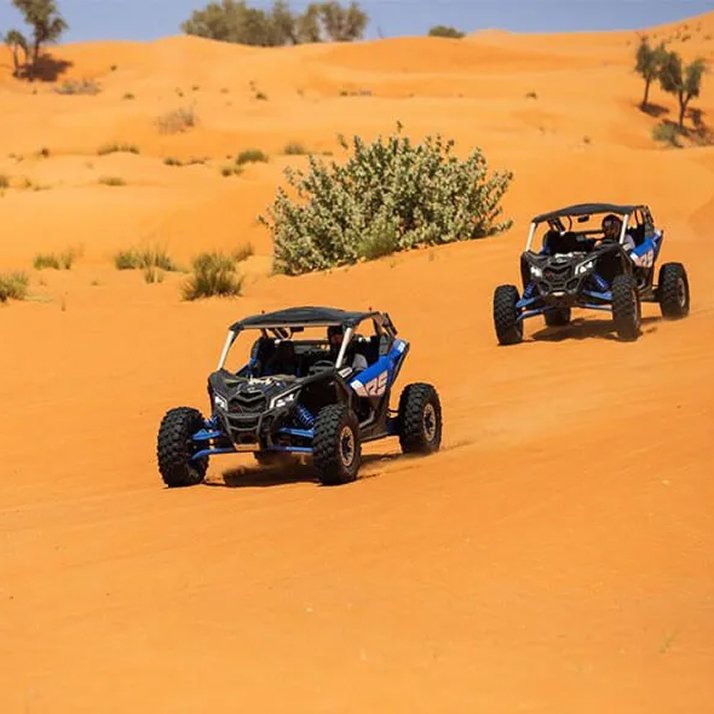 2-Seater Dune Buggy 1000cc Dubai