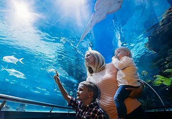 The National Aquarium Abu Dhabi Tickets